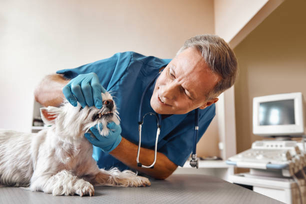 Best After-Hours Emergency Dentist in Diand, MO